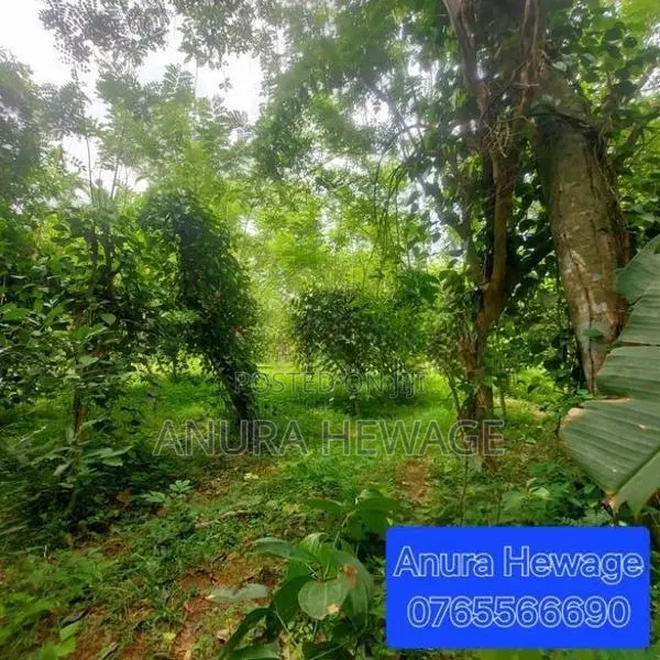 Land for Sale Athurugiriya, MDH Jayawardena Road ( ID : ATHU017 )