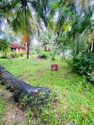 Madampe : 42 perches Commercial Land for Sale facing Main Road
