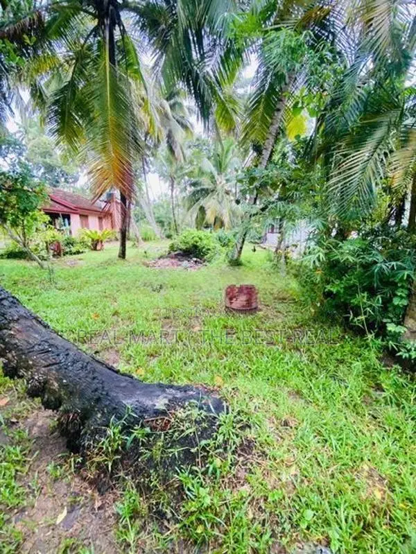 Madampe : 42 perches Commercial Land for Sale facing Main Road