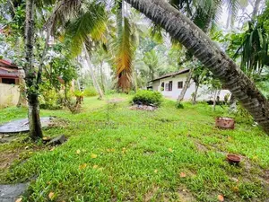 Madampe : 42 perches Commercial Land for Sale facing Main Road