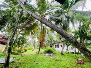 Madampe : 42 perches Commercial Land for Sale facing Main Road