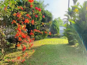 (AFA941) 50 P & Property Sale At Gonawela Kiribathgoda