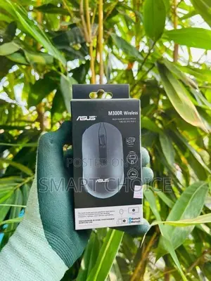 ASUS M300R Wireless Mouse