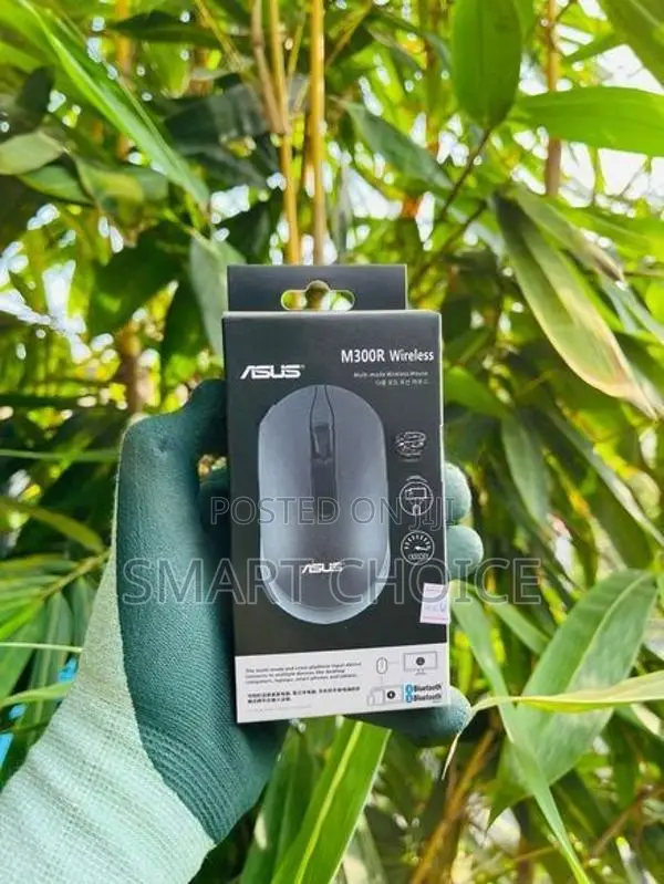 ASUS M300R Wireless Mouse