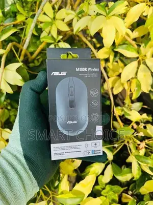 ASUS M300R Wireless Mouse