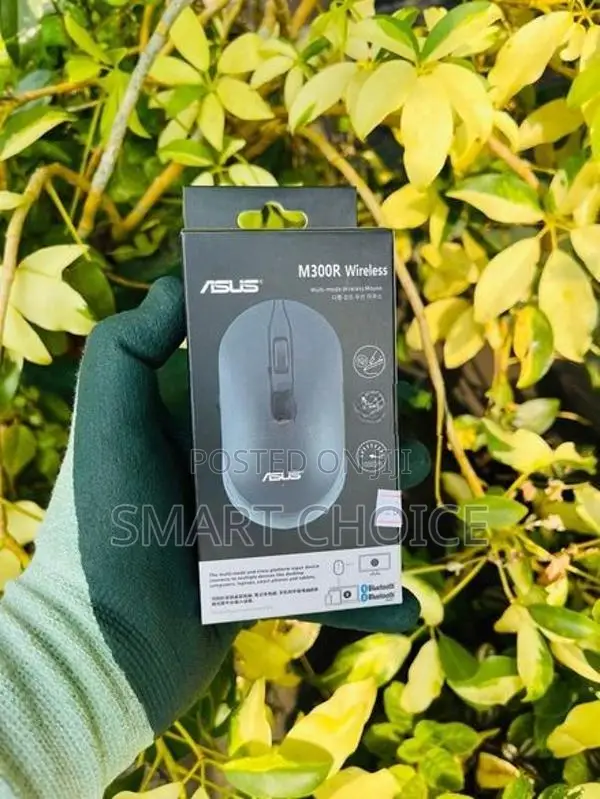 ASUS M300R Wireless Mouse