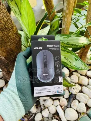 ASUS M300R Wireless Mouse