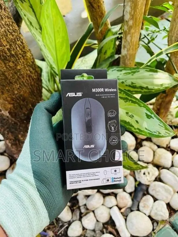 ASUS M300R Wireless Mouse