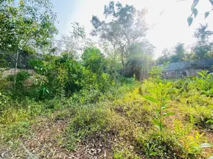 9P Rectangular Shaped Land Close to Hokndara Road, Thalawathugoda