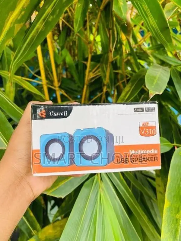 Kisonli V310 Speaker