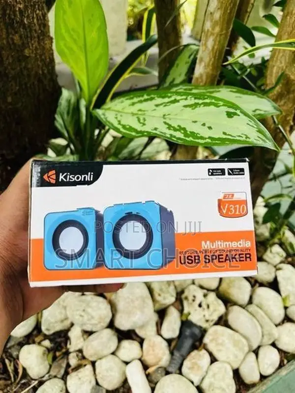 Kisonli V310 Speaker