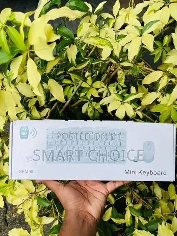Wireless Mini Keyboard with Mouse