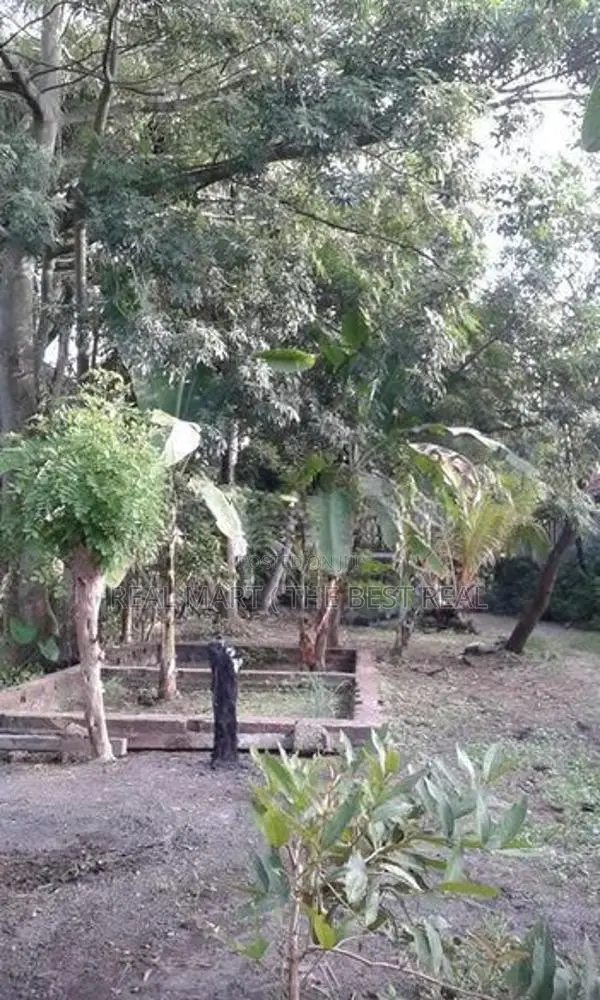 Negombo: 60 Perches Land for Sale at Pitipana