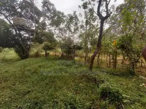 340 Perch Land Seeduwa