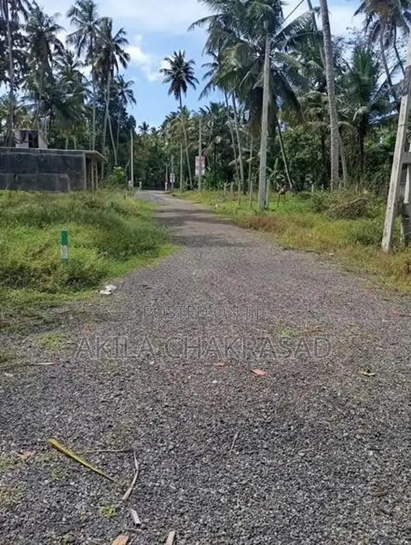 160 Perch Land For Rent Katunayaka