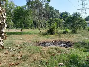 241 Perch Land Katunayaka Awariwaththa