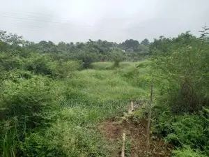 340 Perch Land Seeduwa