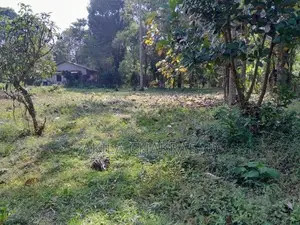 241 Perch Land Katunayaka Awariwaththa