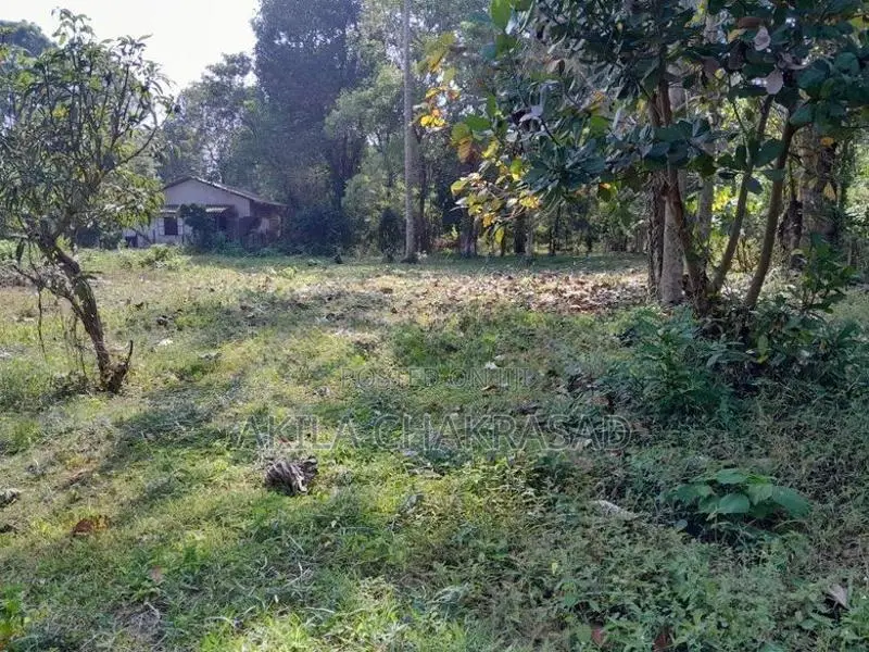 241 Perch Land Katunayaka Awariwaththa