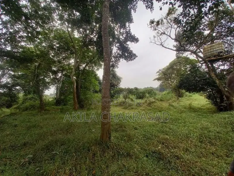 340 Perch Land Seeduwa