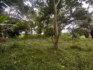 340 Perch Land Seeduwa