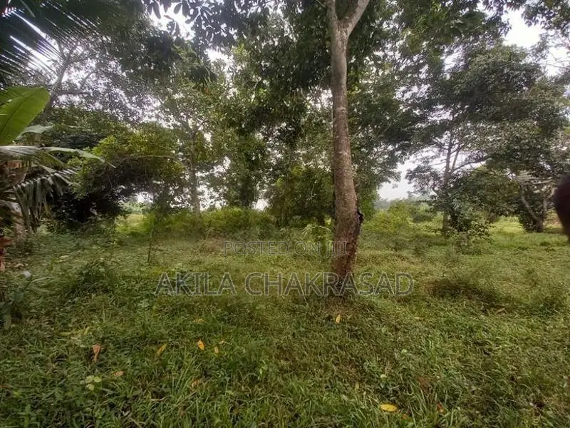 340 Perch Land Seeduwa