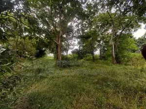340 Perch Land Seeduwa
