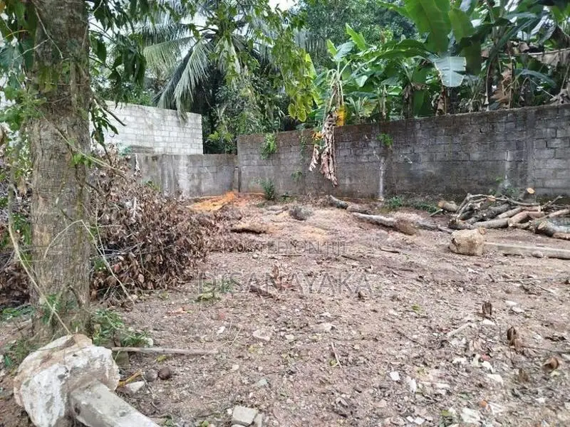 Land for Sale Thalawathugoda Ds2028