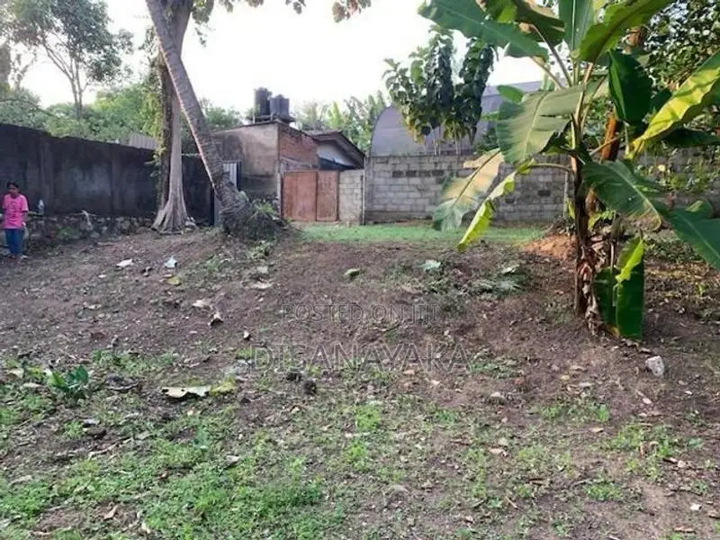Super Land for Sale Kotte Ds1307