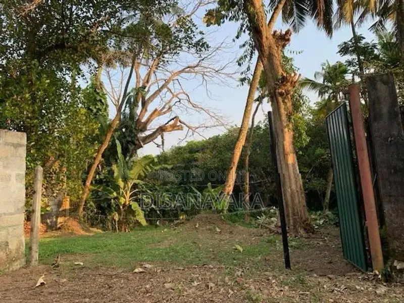 Super Land for Sale Kotte Ds1307