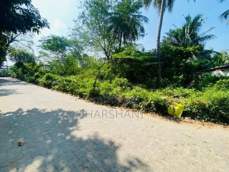 Few Land Blocks or Entire Very Close to Angoda Junction