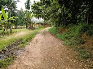 10-Perch Land Overlooking Paddy Field for Sale in Thalawathugoda
