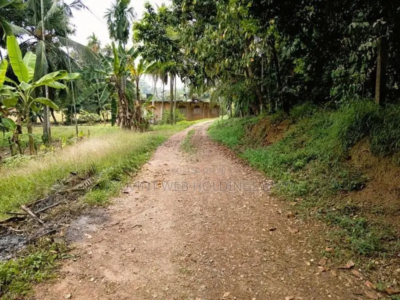 10-Perch Land Overlooking Paddy Field for Sale in Thalawathugoda