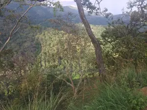 3084.2P Bare Land for Sale in Wellawaya Road, Ella (SL 14585)