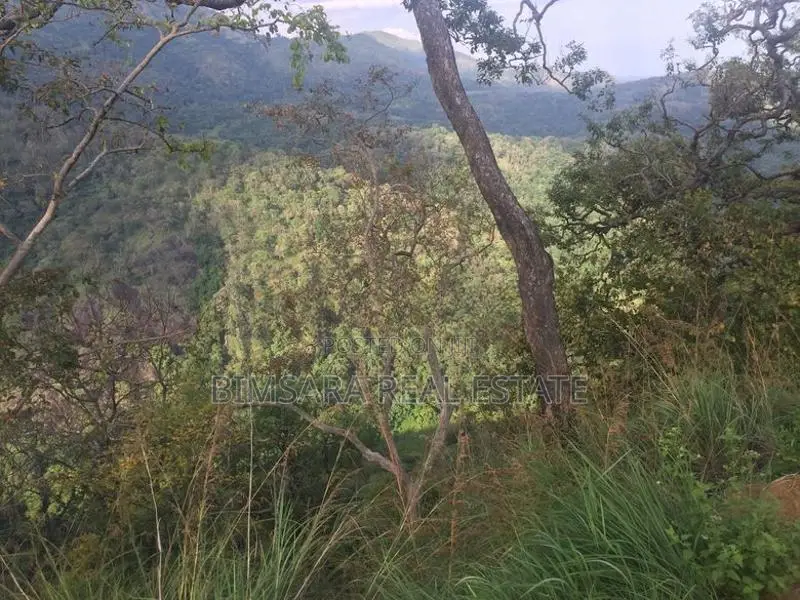 3084.2P Bare Land for Sale in Wellawaya Road, Ella (SL 14585)