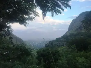 3084.2P Bare Land for Sale in Wellawaya Road, Ella (SL 14585)