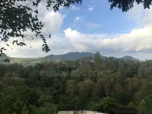 3084.2P Bare Land for Sale in Wellawaya Road, Ella (SL 14585)