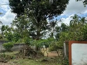 Super Land for Sale in Kotte
