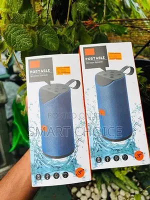 V-113 Bluetooth Speaker