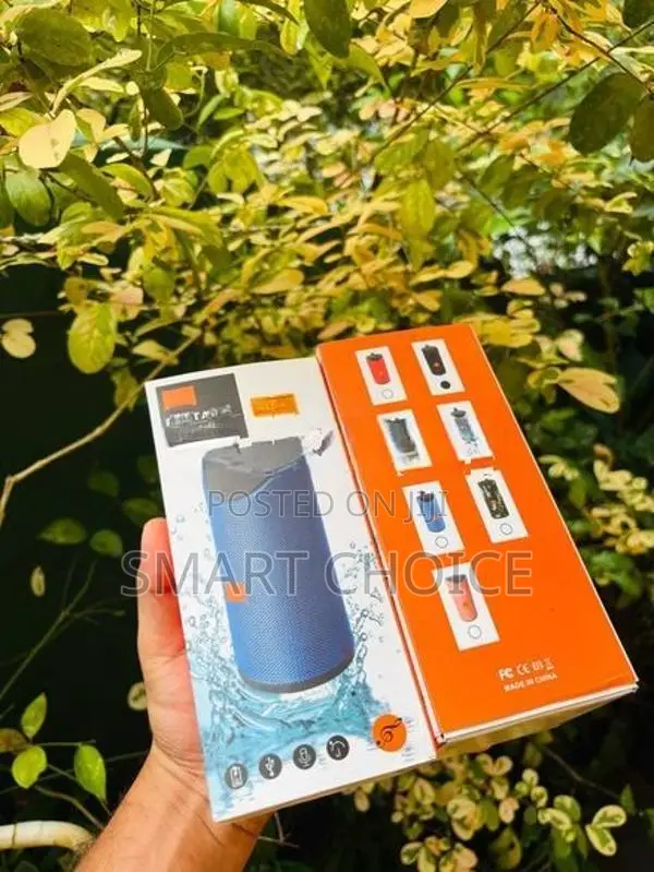 V-113 Bluetooth Speaker