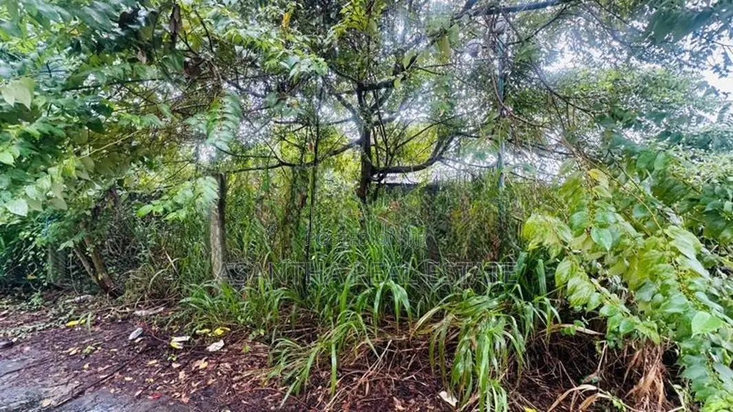(NNI-11) 8.45 P FOR SALE in Janson Watha Anderson Rd Kalubowila DEHIWA