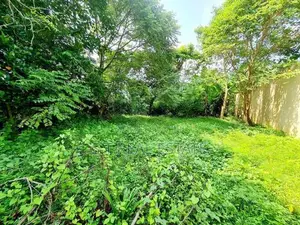 12.50P Bare Land For Sale In Mount Lavinia
