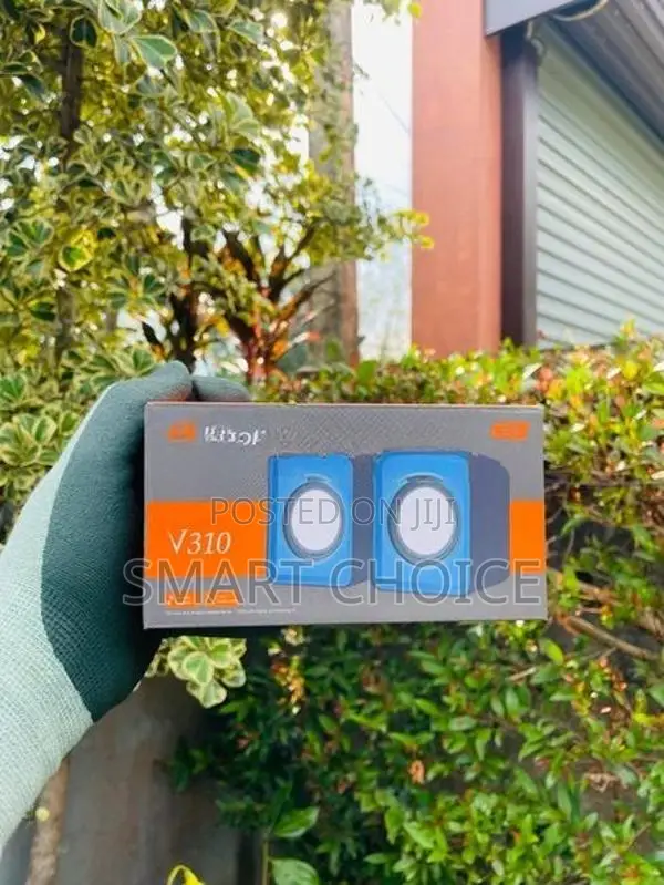 Kisonli V310 Speaker