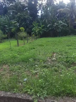 Land For Sale In Boralesgamuwa werahera