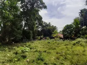 Walasmulla : 146 Perches Land with Old House for Sale