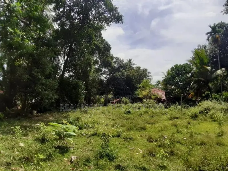 Walasmulla : 146 Perches Land with Old House for Sale