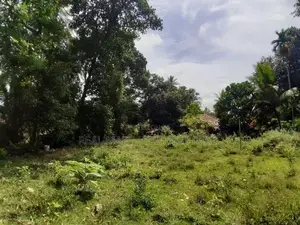 Walasmulla : 146 Perches Land with Old House for Sale