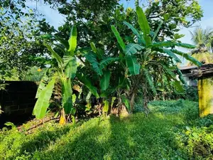 Angoda : 27.8 Perches Commercial Land with Old House for Sale