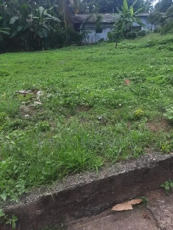 Land For Sale In Boralesgamuwa werahera