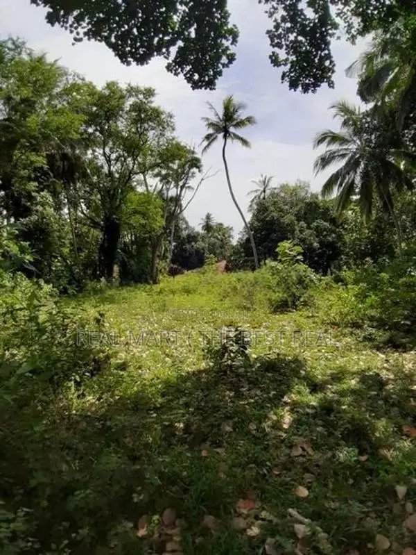 Walasmulla : 146 Perches Land with Old House for Sale